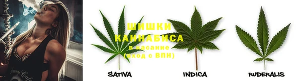 PSILOCYBIN Алексеевка